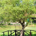 Szafarnia 19 Дом отдыха Курзентник