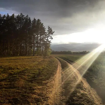 Szafarnia 19 库尔泽尼克