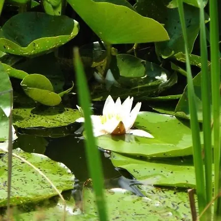 度假居 Szafarnia 19 库尔泽尼克