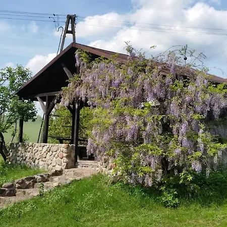 Szafarnia 19 *