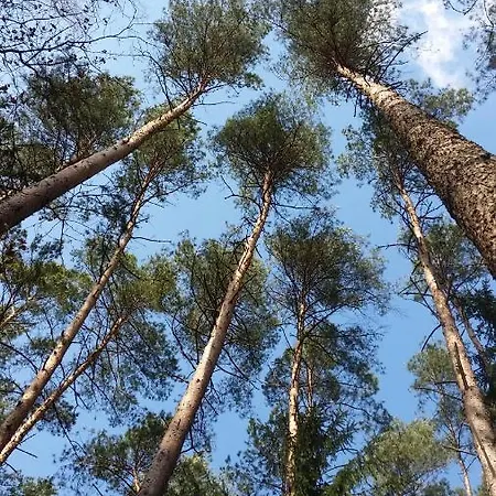 Szafarnia 19 度假居 *