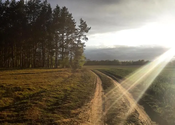 Szafarnia 19 Kurzetnik