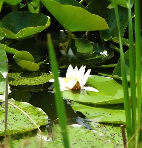 Holiday home Szafarnia 19 Kurzetnik