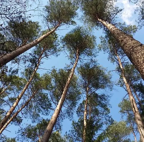 Szafarnia 19 Holiday home *